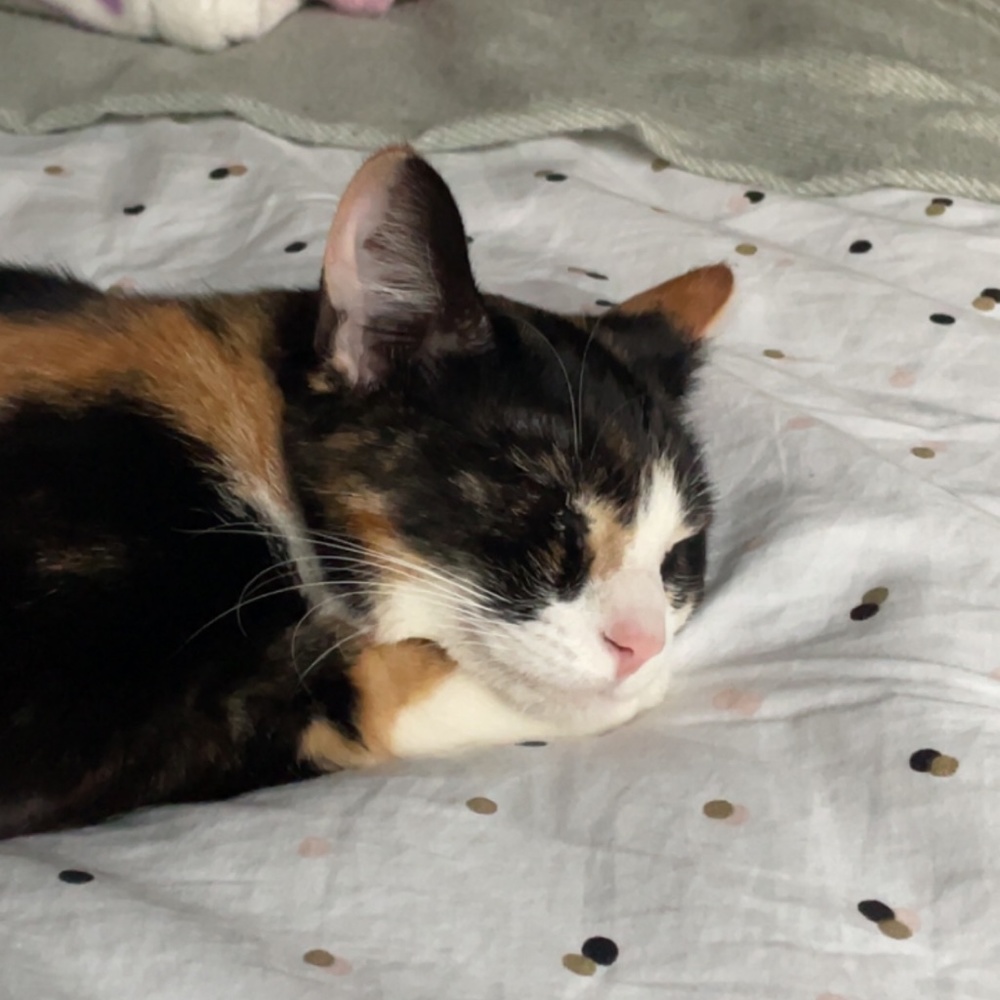 Meet your Posher, Teresa